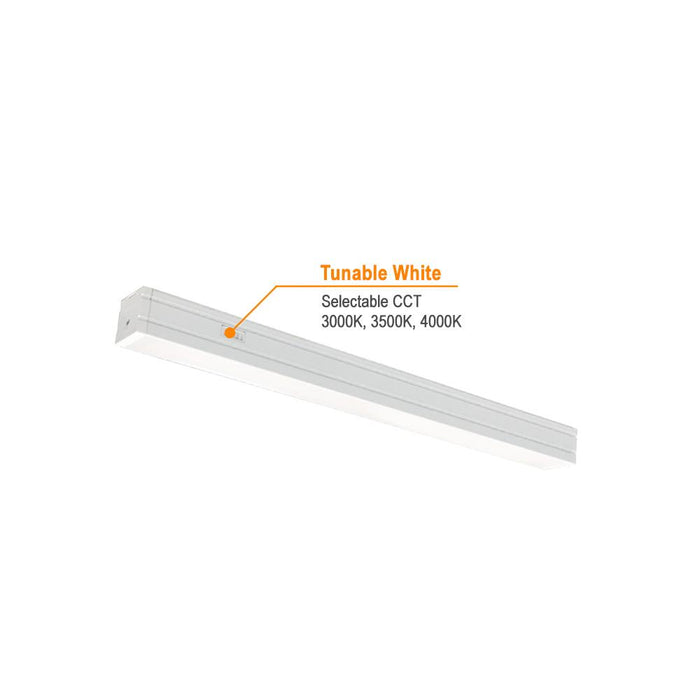 LED CCT Selectable Alpha Dimmable Light Bars 120V AC