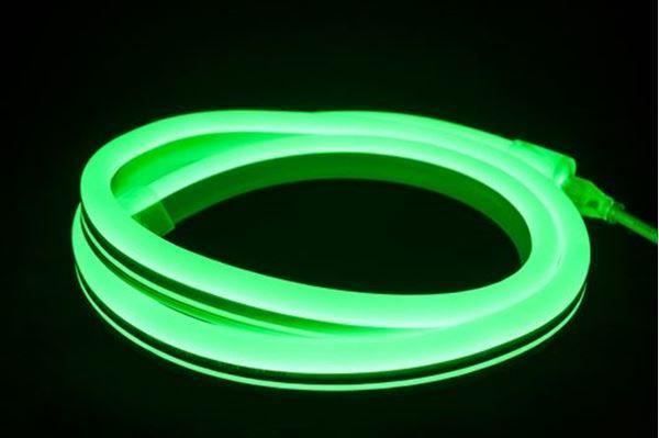 LED Single Color Standard Flex Neon Lights 120V AC 19 in - Step 1 Dezigns