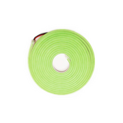 LED Single Color Mini Flex Neon Lights 12V DC 12 in - Elumalight