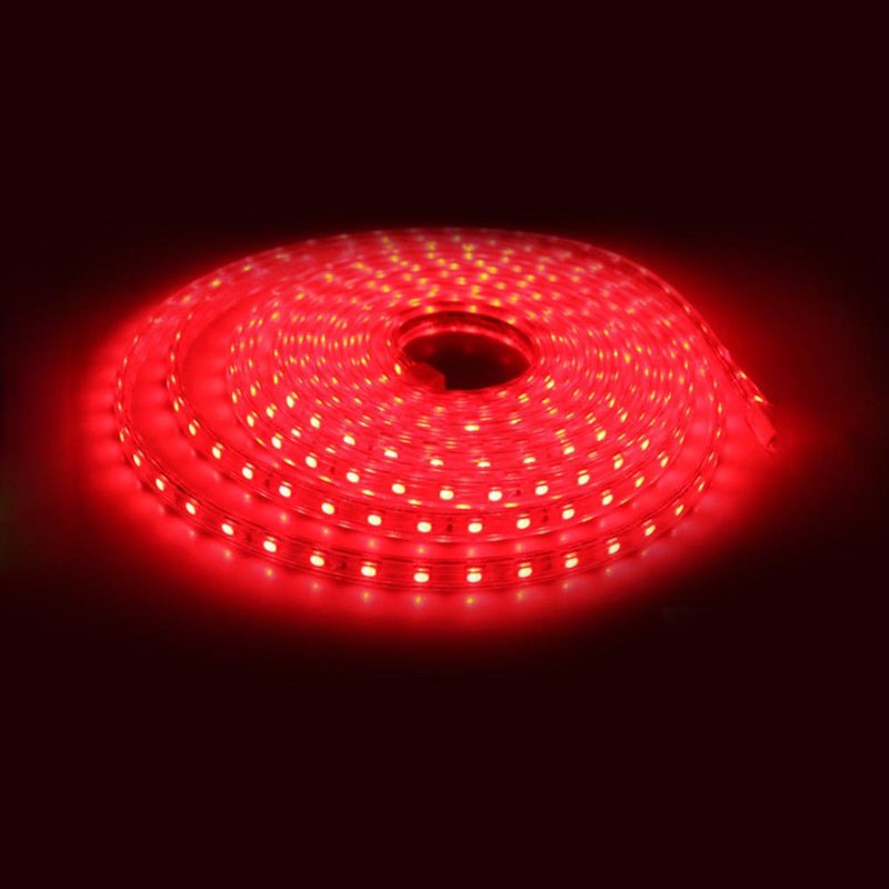 LED RGBW Strip Light Kit 120V AC 16 ft Reel - Elumalight