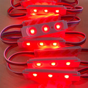 LED RGBW Sign Module Light 12V DC - Elumalight