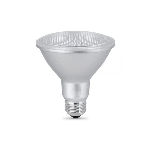 LED PAR30 Light Bulbs - step-1-dezigns